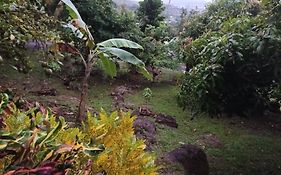 Martinique La Petite Maison Dans La Colline Villa Le Lamentin Exterior photo