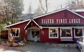 Silver Pines Lodge Idyllwild Exterior photo