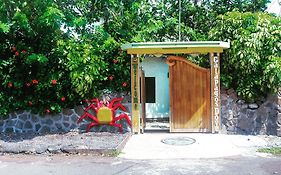 Hotel Galapagos Dove Puerto Ayora  Exterior photo