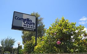 Camellia Court Family Motel Lago Lago Taupo Exterior photo