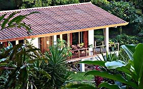 Ceiba Tree Lodge Nuevo Arenal Exterior photo