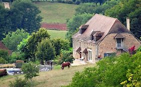 Le Domaine Du Cerneau Bed and Breakfast Nailhac Exterior photo