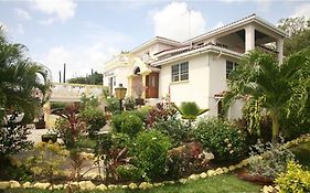 Palm Paradise Guest House And Apartments BARBADOS Exterior photo