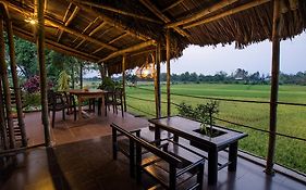 La Terrazza Bed and Breakfast Hoi An Exterior photo