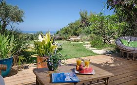 Above The Sea Bed and Breakfast Ein Hod Exterior photo
