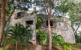 Hotel Hix Island House Vieques Exterior photo