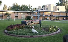 Nof Ginosar Kibbutz Hotel Tiberíades Exterior photo