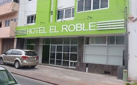 Hotel El Roble Tuxtla Gutiérrez Exterior photo