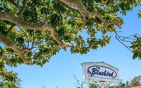 Bluebird Inn Cambria Exterior photo