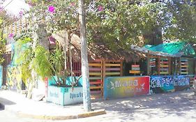 Maya Cha'An Guesthouse Cancún Exterior photo