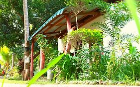 Sigiri Picaso Home Stay Sigiriya Exterior photo