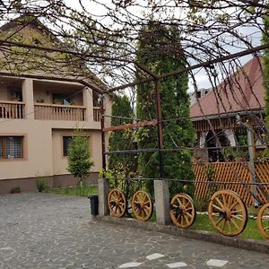 Hotel Pensiunea Todorica Sergiu Şieu Exterior photo