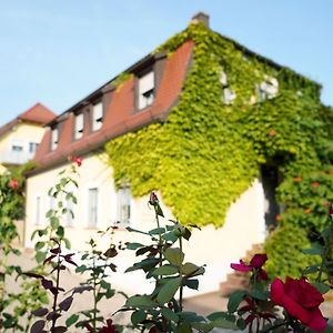 Hotel Weingut Martin Blass Erlabrunn  Exterior photo