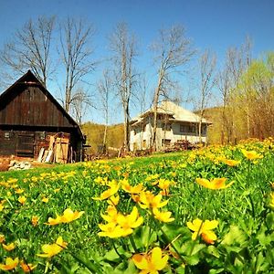 Apartamento Agropensiunea Tarina Rosia Montana Exterior photo