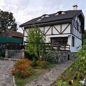 La Bunica Villa Cisnădioara Exterior photo