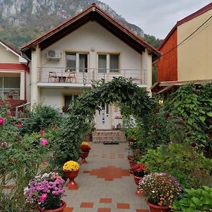 Hotel Pension Eden Băile Herculane Exterior photo