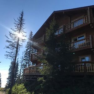 Hotel Alpin Eco Chalet & Wellness Dragobrat Exterior photo