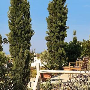 Christou Estate&Villas Pyrgos Kallistis Exterior photo