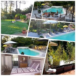 Le Jardin Des Selves Bed and Breakfast Draguignan Exterior photo