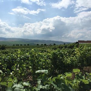 Wineyards Salin Bed and Breakfast Turda Exterior photo