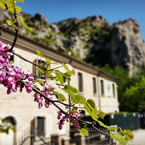 B&B Aquilegia Acqualagna Exterior photo