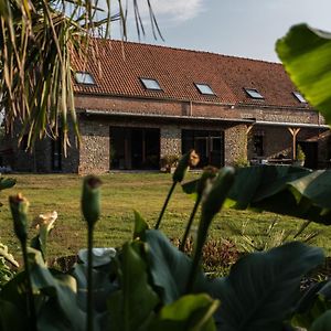 Au Petit Canteleu - Bed & Breakfast Bed and Breakfast Beloeil Exterior photo