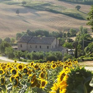 "La Casa Degli Ulivi Art B&B" Trecastelli Exterior photo