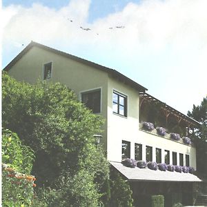 Hotel Landgasthaus Zum Erlengrund Emskirchen Exterior photo