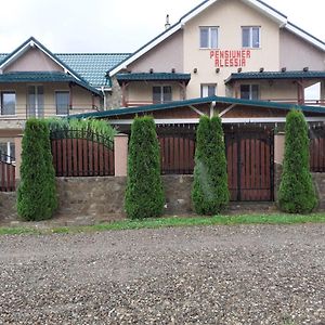 Hotel Pensiunea Alessia Piatra Neamţ Exterior photo