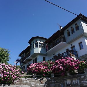 Hotel Artemisia House Tsagkarada Exterior photo