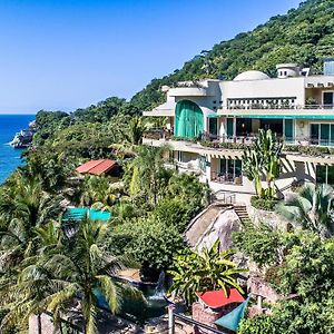 Luxury Beach Frontage Villa For Rent Puerto Vallarta Exterior photo