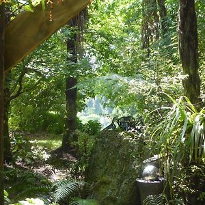 Mount Tutu Eco-Sanctuary Bed and Breakfast Ohauiti Exterior photo