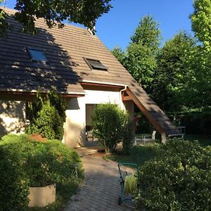 Maison Chevreuse, Chambre Chez L'Habitant Magny-les-Hameaux Exterior photo