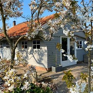 Bed And Breakfast Het Emmapark Medemblik Exterior photo