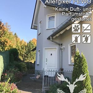 Apartamento Duft- und Parfümfreie Allergiker-FEWO Mertendorf Exterior photo