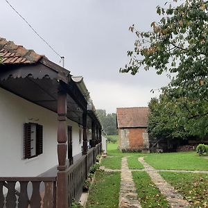 Hotel Bodrogparti Vendégház Sárazsadány Exterior photo