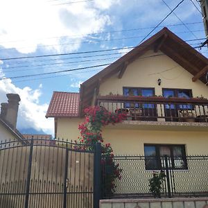 Hotel Casa Piatra Craiului Zărneşti Exterior photo