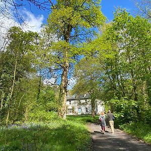 Blackhill Woods Retreat Hostal Abbeyleix Exterior photo