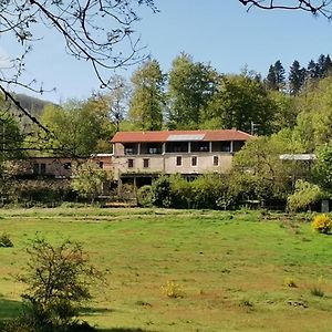 B&B Sycomore, La Bouriotte Labastide-Rouairoux Exterior photo