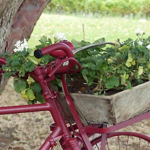 L'Alambic De L'Estuaire Bed and Breakfast Saint-Fort-sur-Gironde Exterior photo