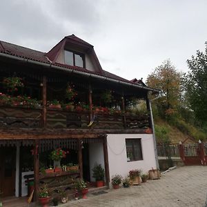 Hotel Casa Cozorici Sadova  Exterior photo
