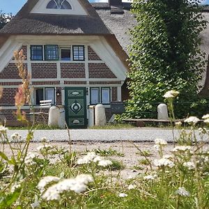 Haus Anna Elbe, Bauernhaus-Ferienwohnungen An Der Elbe Hamburgo Exterior photo