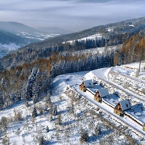 Domki Beskid Villa Rzyki Exterior photo