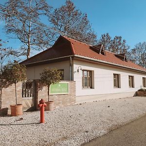 Herba-ház Bed and Breakfast Danszentmiklos Exterior photo