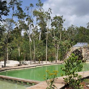 Jolie Jungle Eco Hotel - Ruta de los Cenotes Leona Vicario Exterior photo