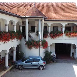 Eden Panzió Bed and Breakfast Eger Exterior photo