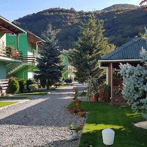 Hotel Pension Charisma Băile Herculane Exterior photo