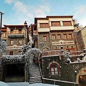 Hotel Asteri Metsovou Exterior photo