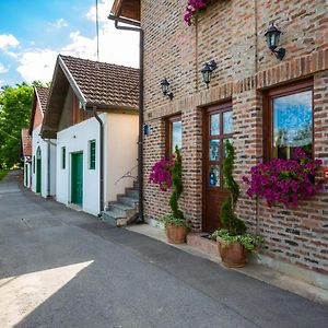 Podrumi Kolar "Suza Baranje" Hostal Kneževi Vinogradi Exterior photo