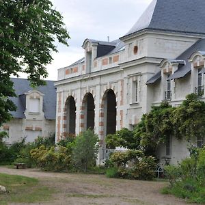 Apartamento L'Orangerie Du Chateau - Le Nid - Gite 2 Personnes Brain-sur-Allonnes Exterior photo